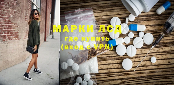индика Волосово