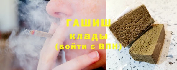 индика Волосово