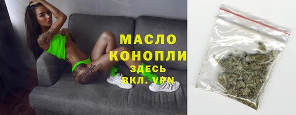 гашик Вяземский