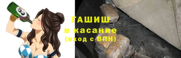 индика Волосово
