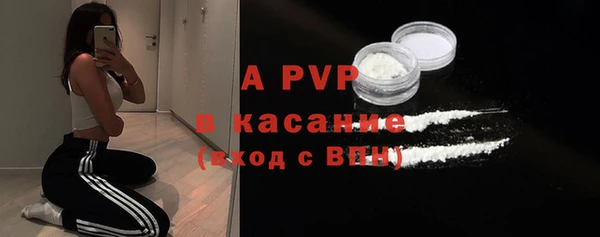 гашик Вяземский