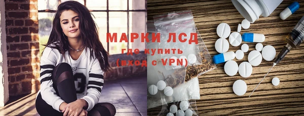 гашик Вяземский