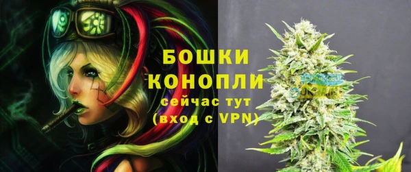гидра Вязники