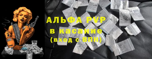 индика Волосово