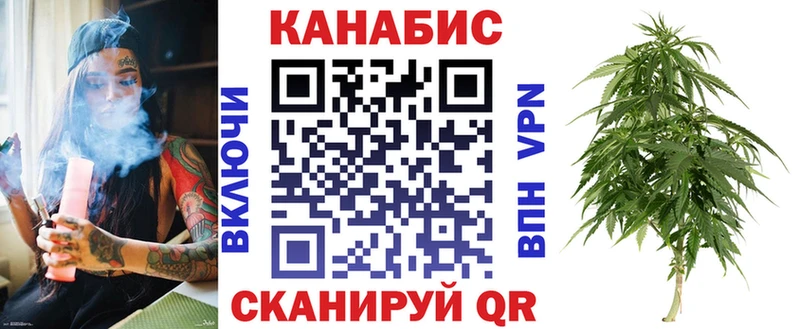 Канабис сатива Далматово
